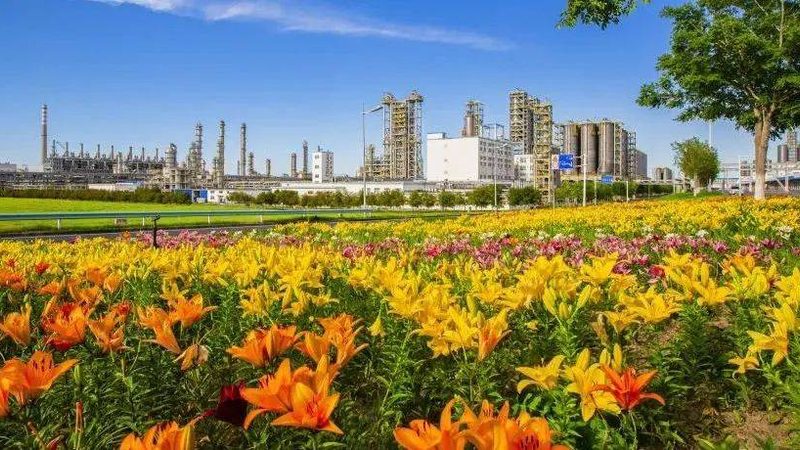 广州增稠剂定制厂家