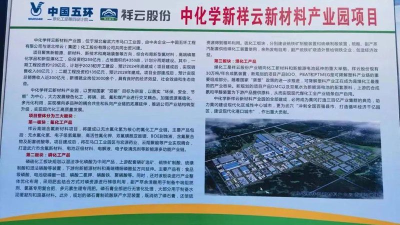 山东化工有限公司